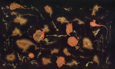 36" x 60" - technique mixte et phosphore sur bois, 2016